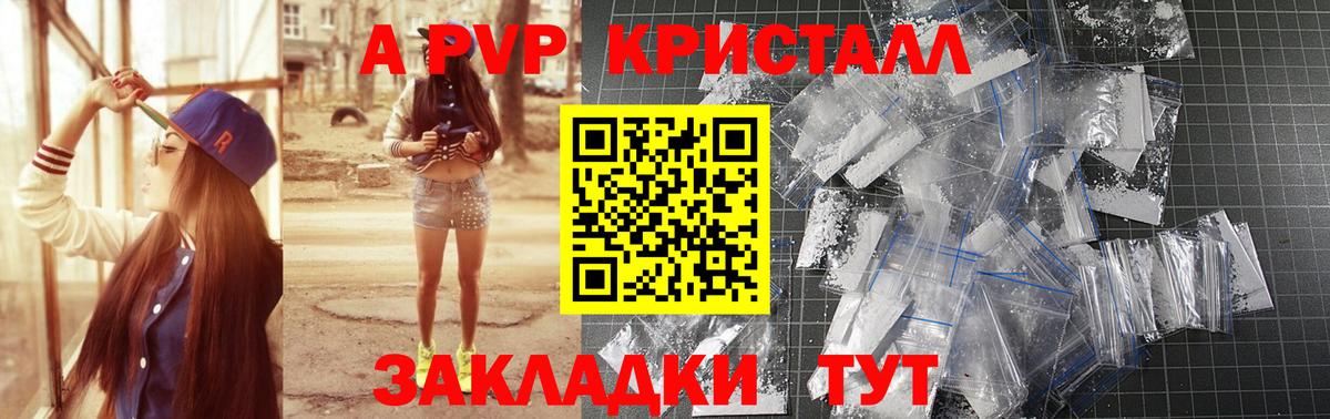 A-PVP СК КРИС Урус-Мартан