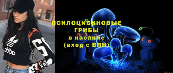 индика Абдулино