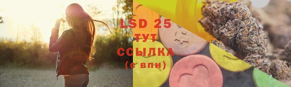 индика Абдулино