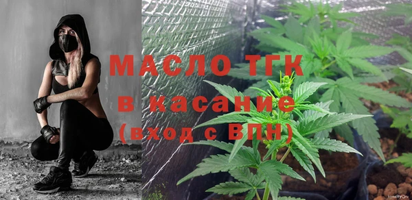 индика Абдулино