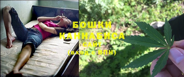 индика Абдулино