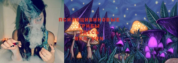 тгк Протвино